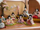 ピンクの収納台ににぎやかに並ぶ木目込み雛人形7人収納飾り
