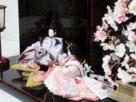 淡い桜色の女雛と藤色の男雛をシンプルに桜の木と飾りました。重厚な溜塗り台を使用した創作親王です。